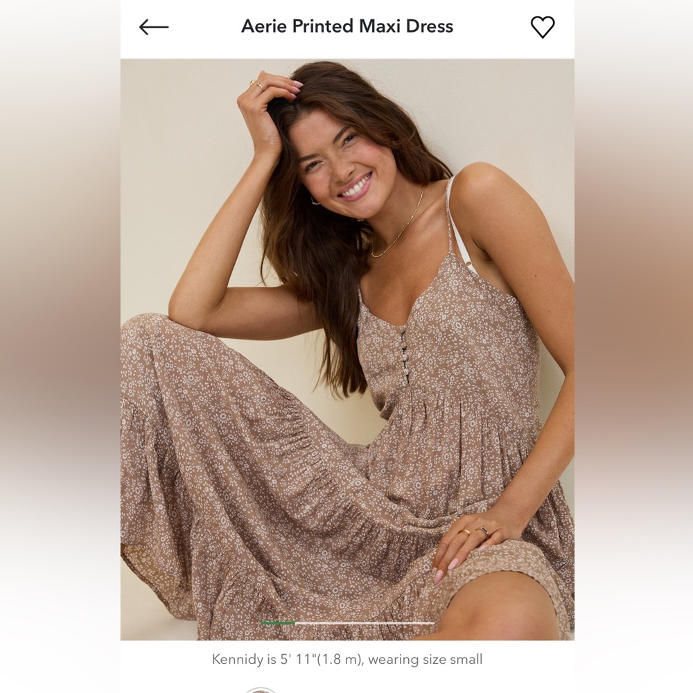 Aerie Brown Floral Maxi Dress